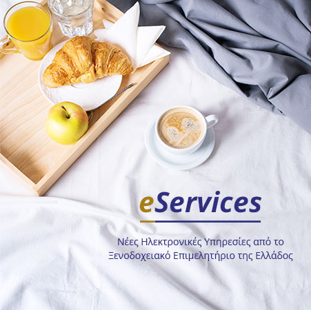 e-Services